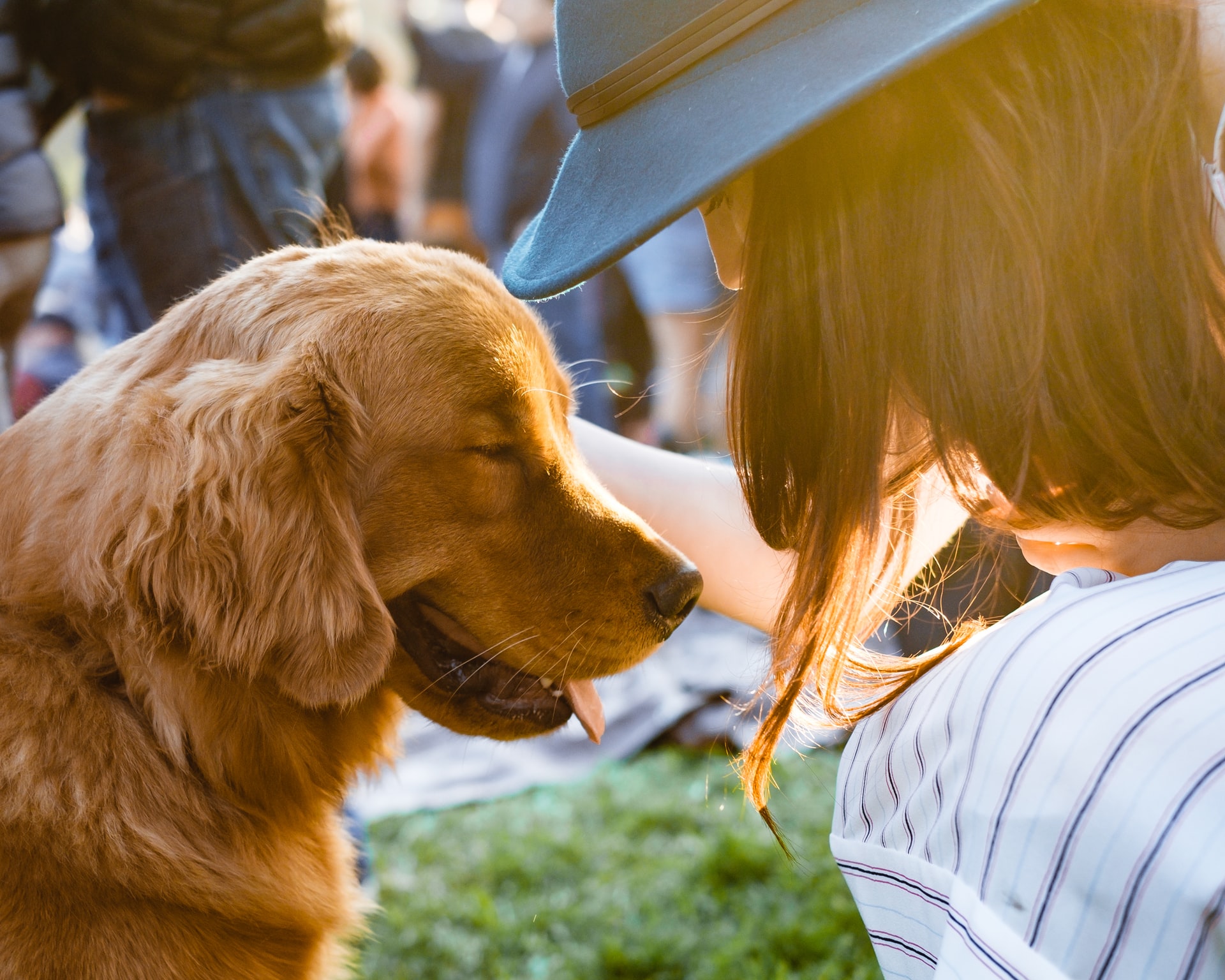 8 Ways to Prepare Saying Goodbye to a Pet